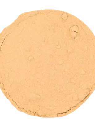 soplówka